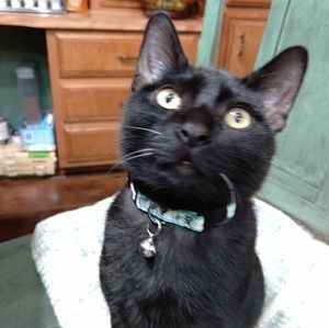 Meet your Posher, Marilyn